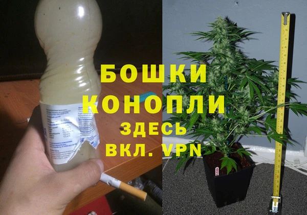 стаф Балахна
