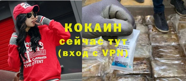 стаф Балахна